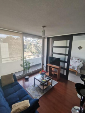 Departamento central Viña del Mar